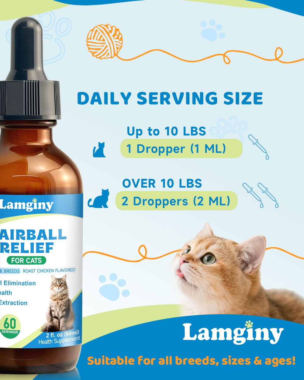 LAMGINY omega-3 and enzymes blend for healthy energy and nutrient absorption.