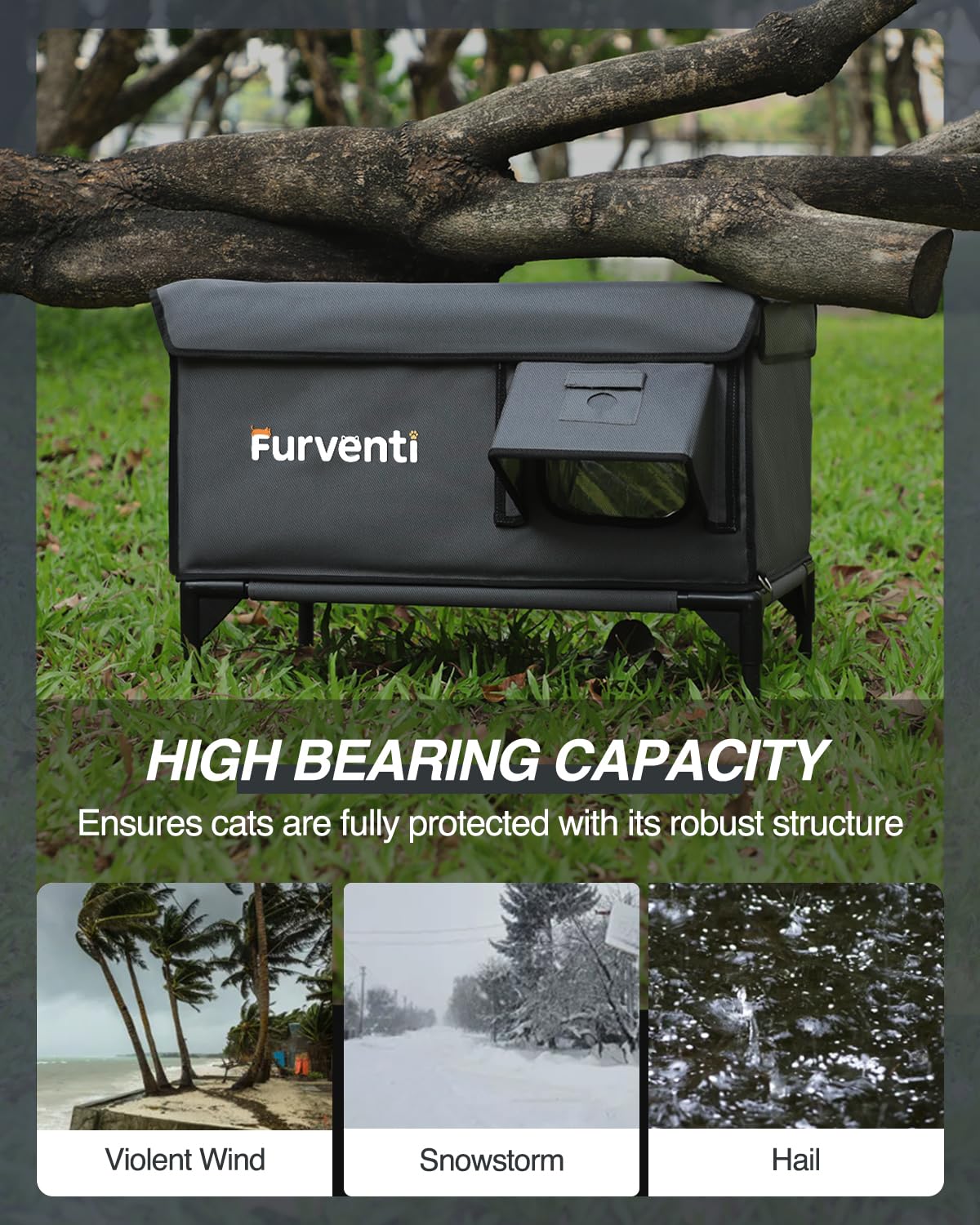 Lamlingo heated cat house camera mount outside enables keeping an eye on outdoor felines.