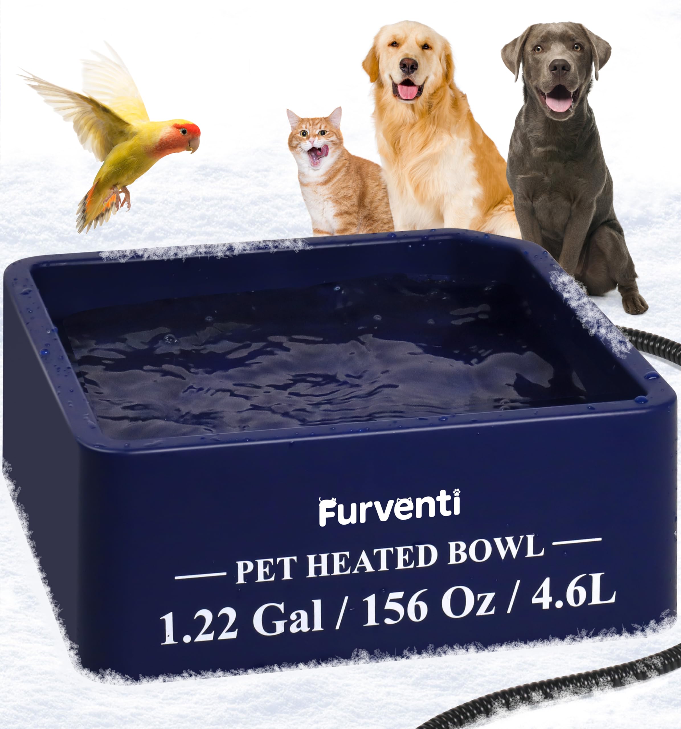 Lamlingo heated water bowl outdoor setup keeps water from freezing in cold weather