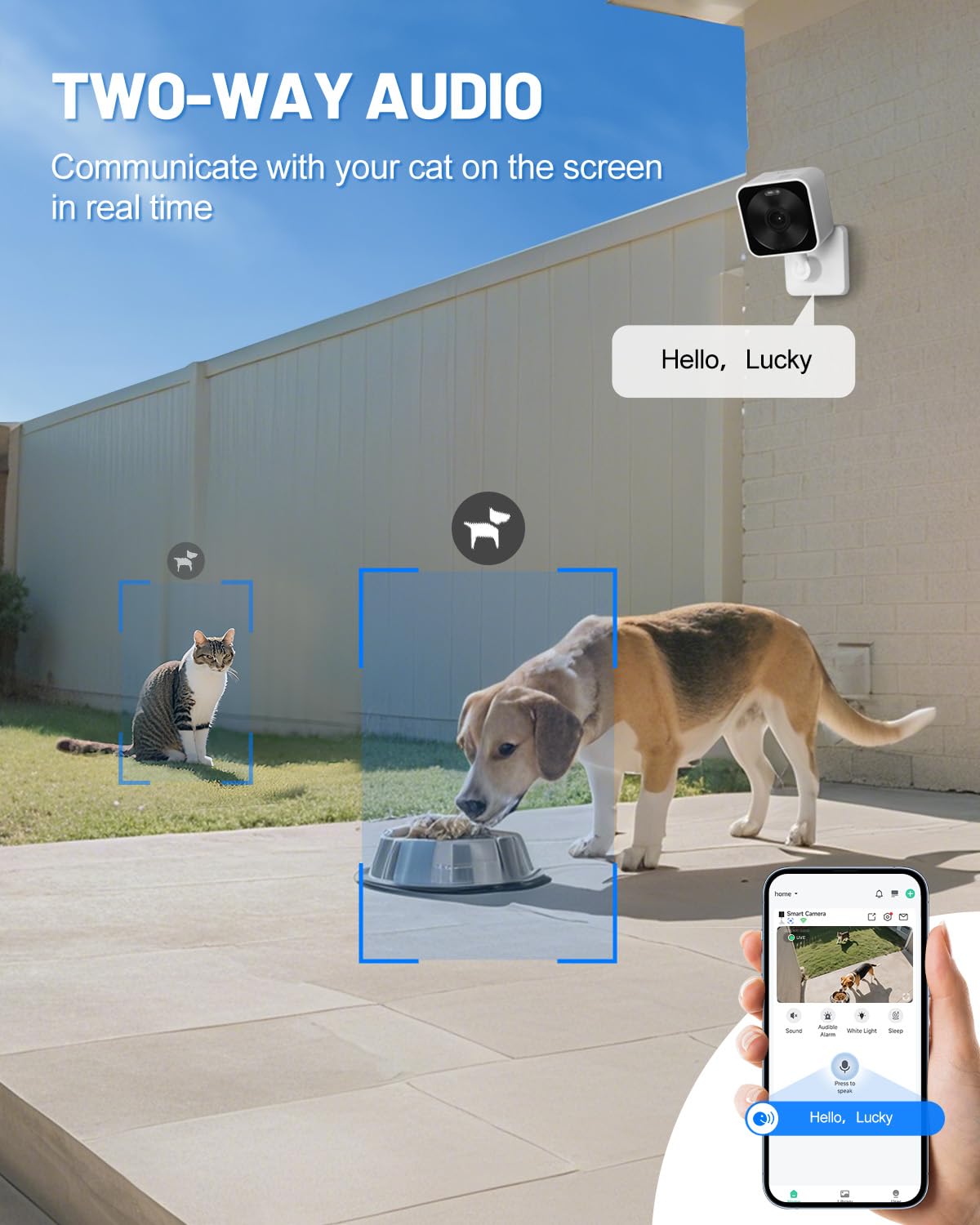 Lamlingo night-vision infrared provides round-the-clock clarity in low light.
