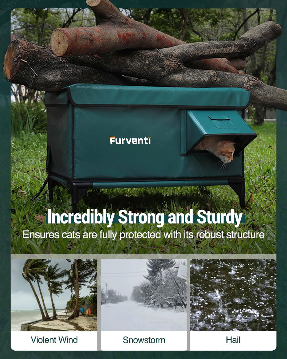 Lamlingo elevated-base design keeps cats dry on muddy ground.