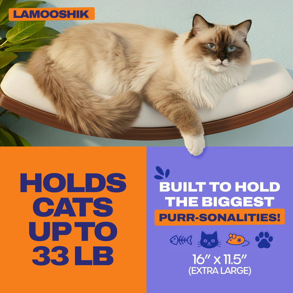 LAMOOSHIK wall-mount design keeps paws supported during play.