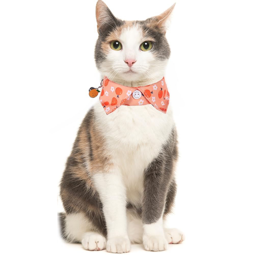 Lamphyface adjustable-size collar fits a range of cats securely