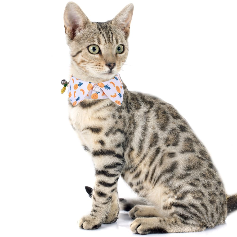 Lamphyface pineapple bow collar adds playful style for photos