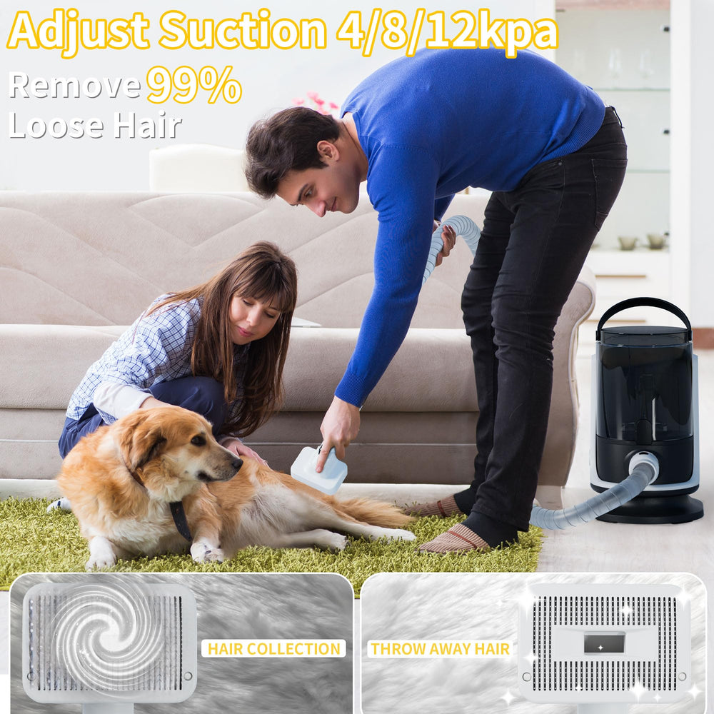 LANCHEZ low-noise setting showcases calm, stress-free grooming.