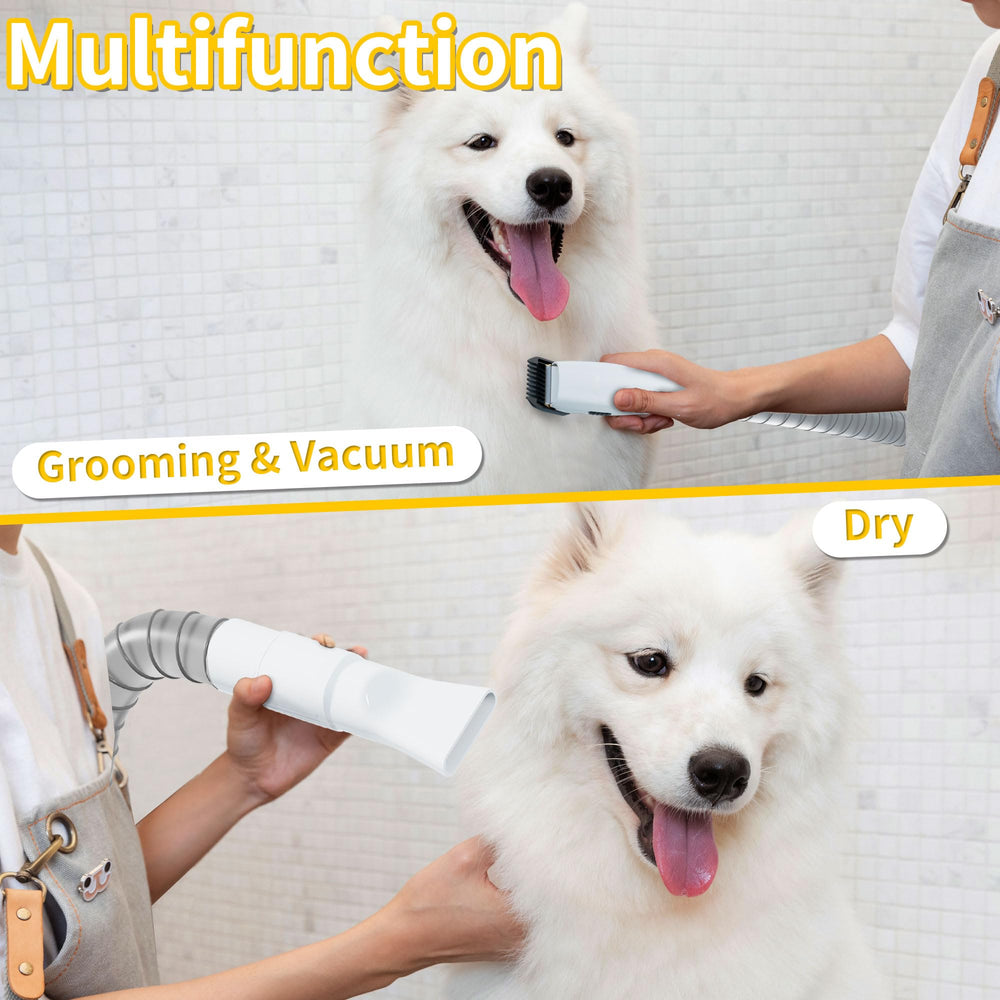 LANCHEZ vacuum with adjustable suction levels for gentle pet handling.