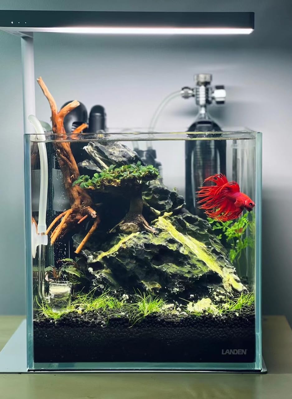 LANDEN black-substrate grain 3-5mm highlights natural-looking bed for planted aquariums.