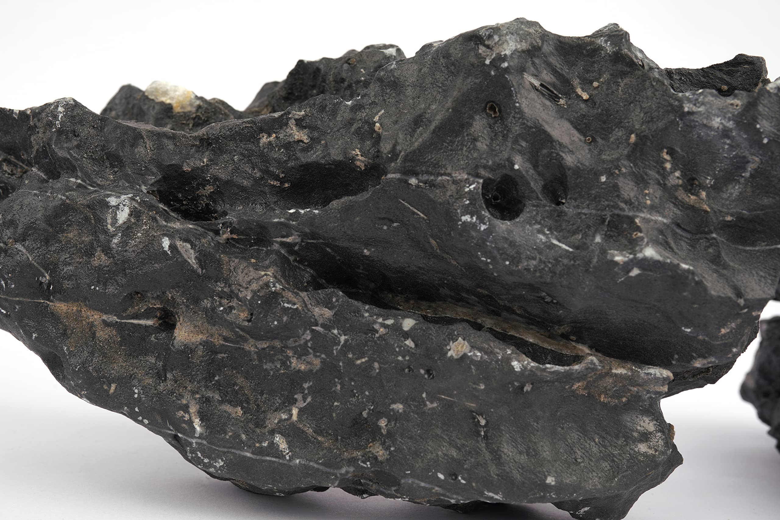 LANDEN Dark SEIRYU stones with driftwood for dramatic scenes
