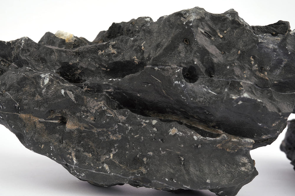 LANDEN Dark SEIRYU stones with driftwood for dramatic scenes