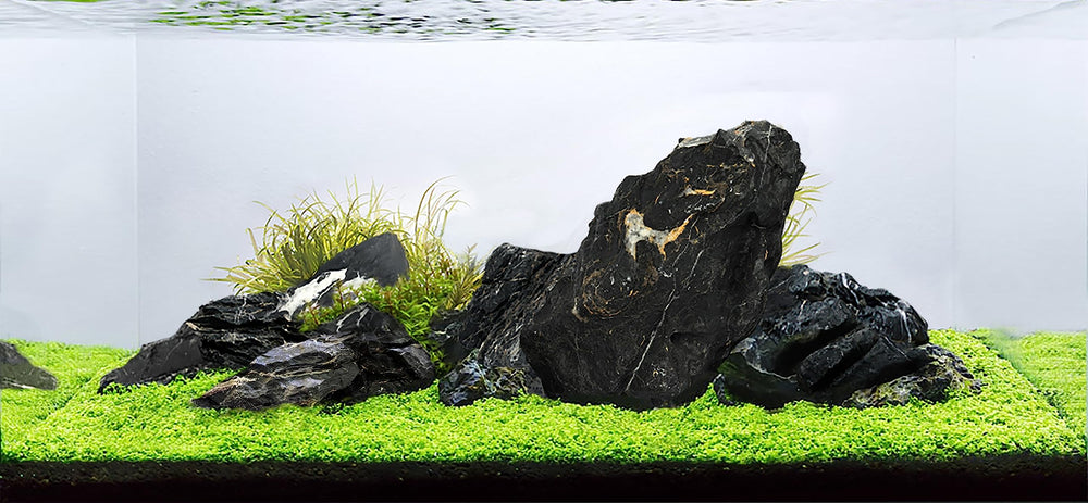 LANDEN Dark SEIRYU stones terrarium idea for rocky landscapes