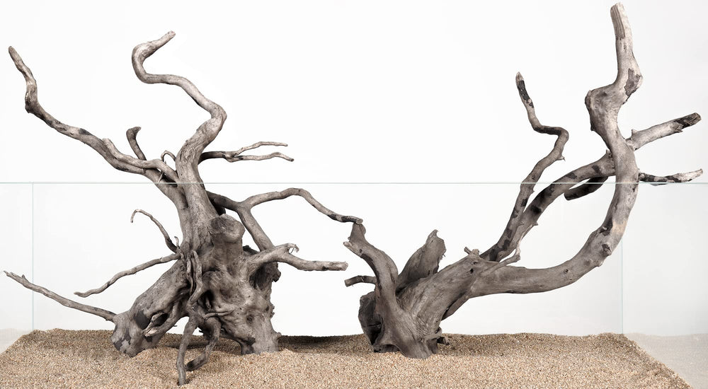 LANDEN Spider Wood branch enhances aquascape texture and shelter for fish