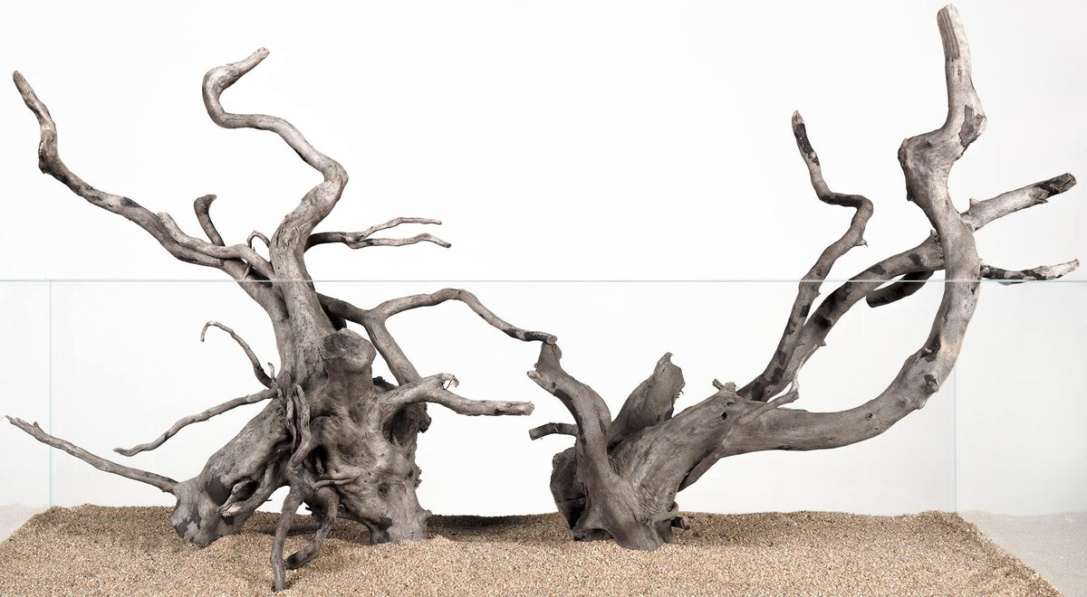 LANDEN Spider Wood branch enhances aquascape texture and shelter for fish