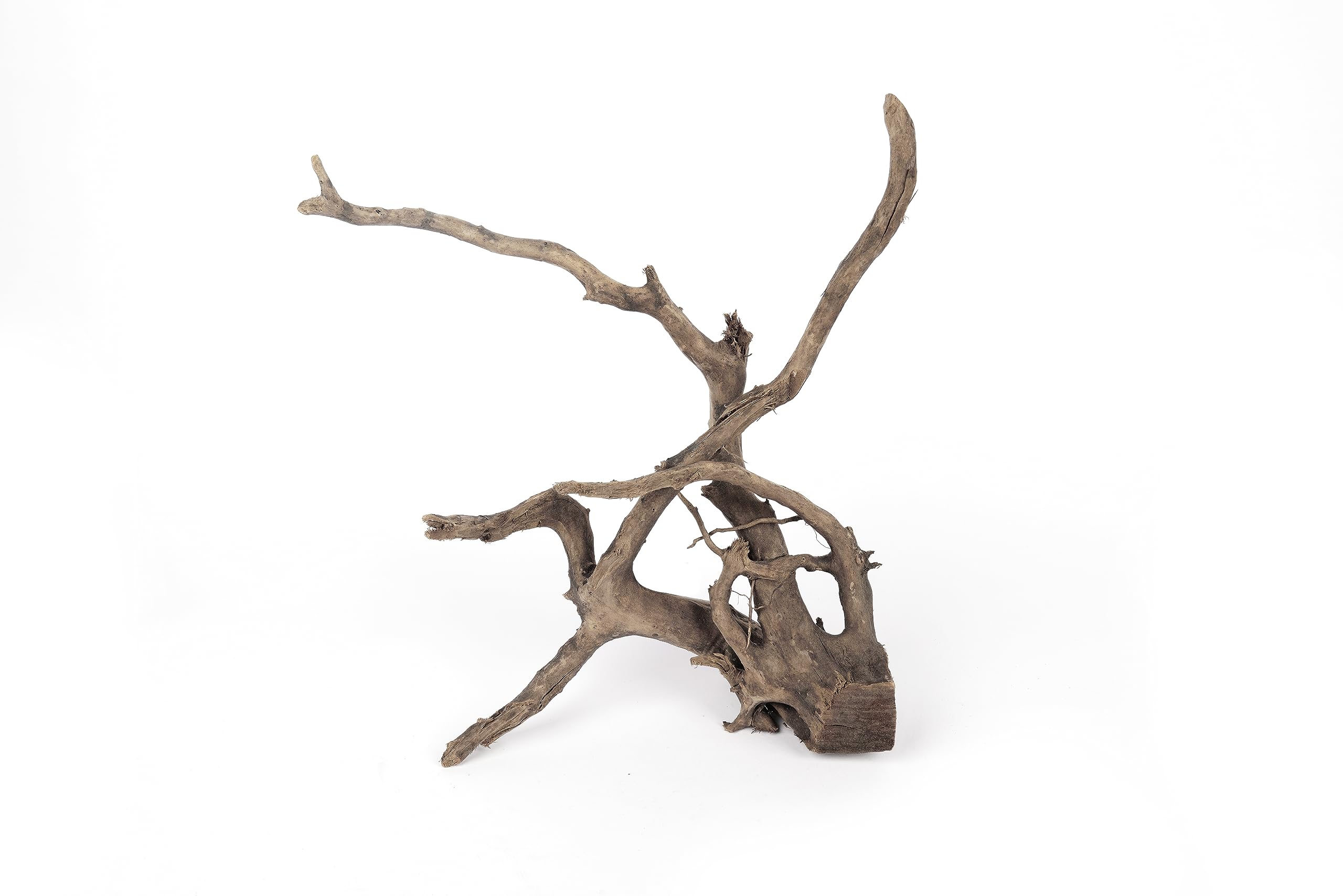 LANDEN Spider Wood driftwood branch showcases natural twists for striking aquascape