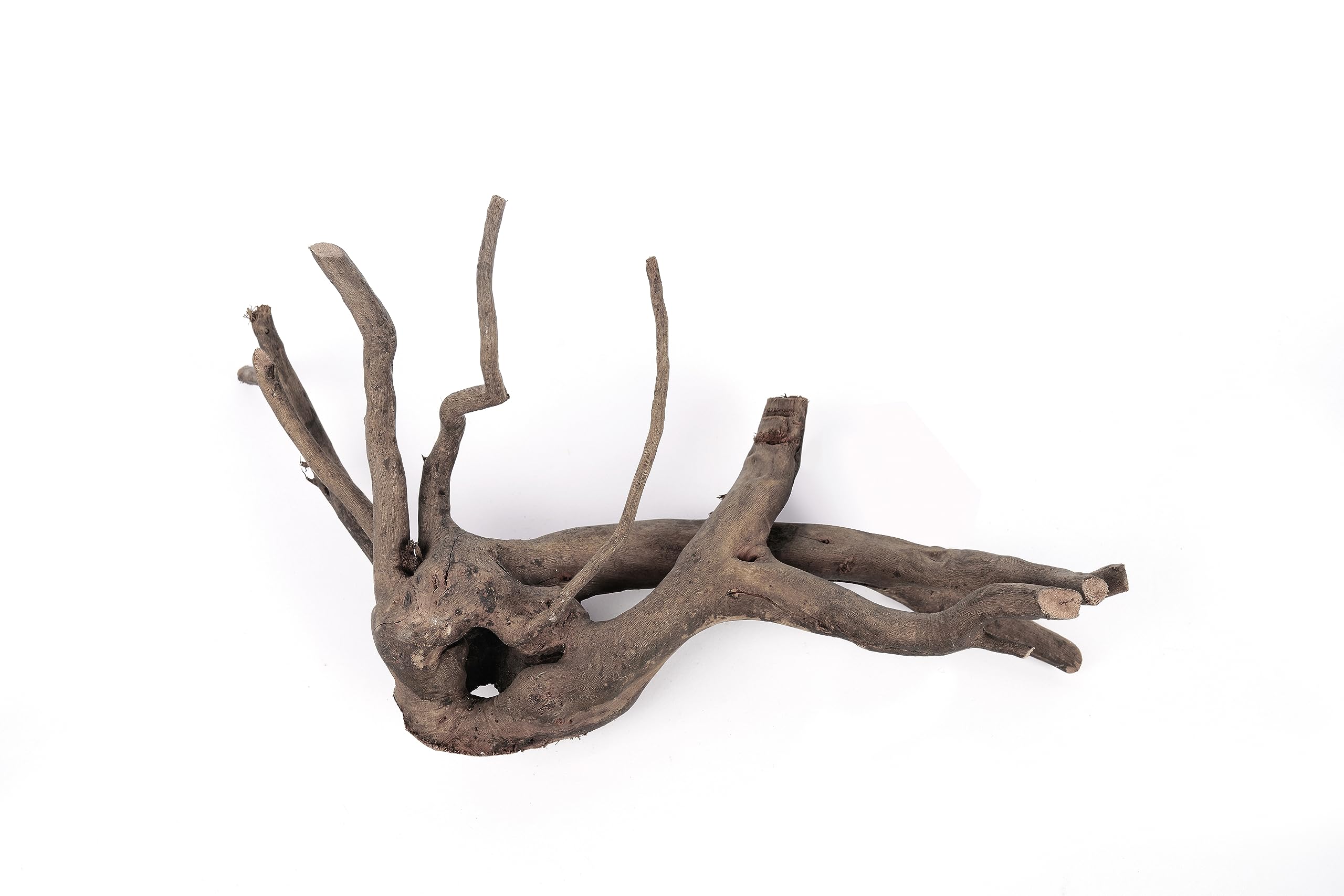 LANDEN Spider Wood branch showcases deep, rich color to enrich tank aesthetics