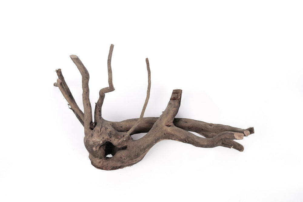 LANDEN Spider Wood branch showcases deep, rich color to enrich tank aesthetics