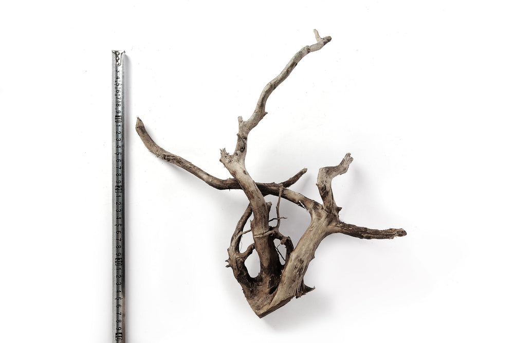 LANDEN Spider Wood branch fits varied layouts for naturalistic aquascapes