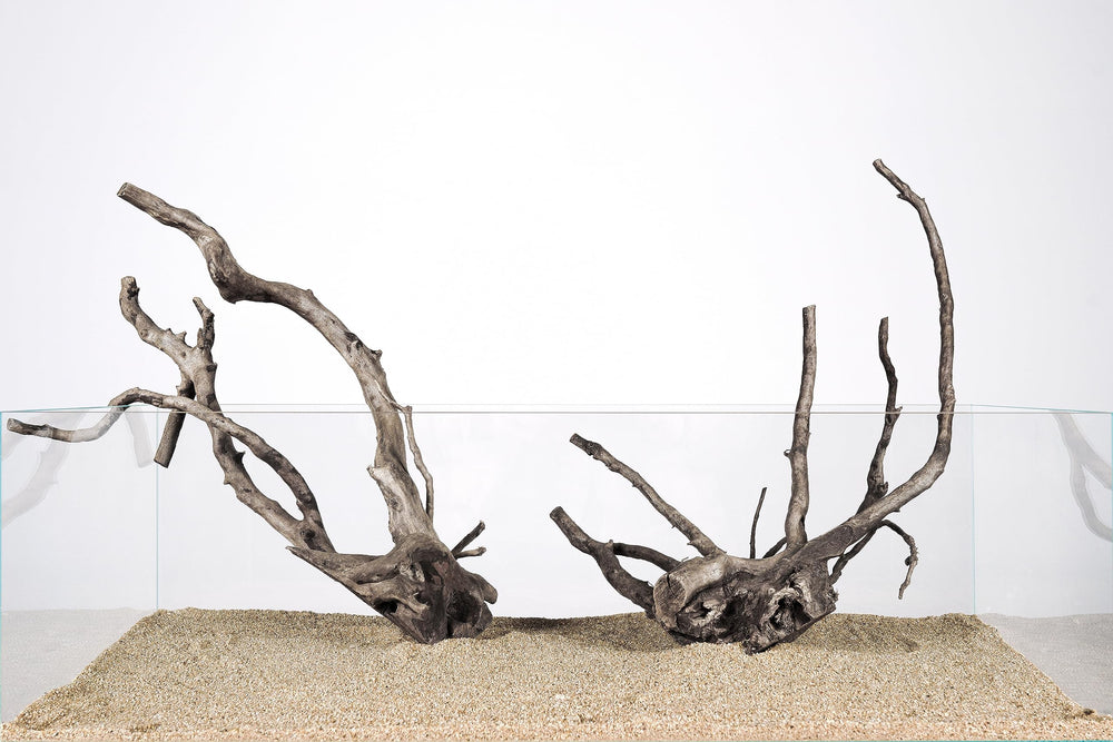LANDEN Spider Wood driftwood branch provides durable, chemical-free decor for tanks