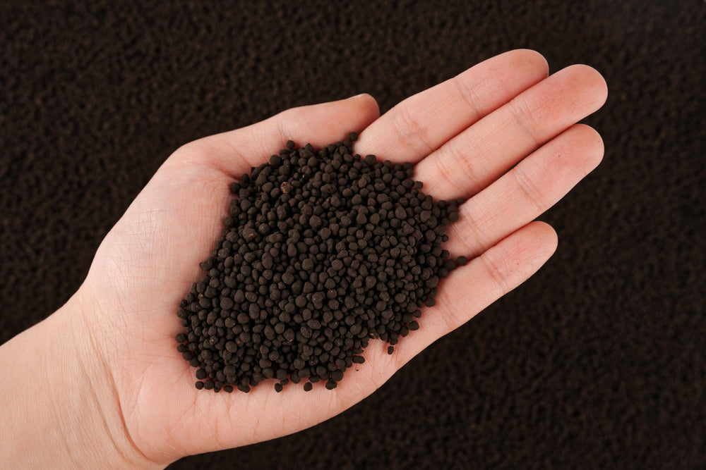 LANDEN substrate in aquarium setup enhances natural planting and supports shrimp-friendly water.