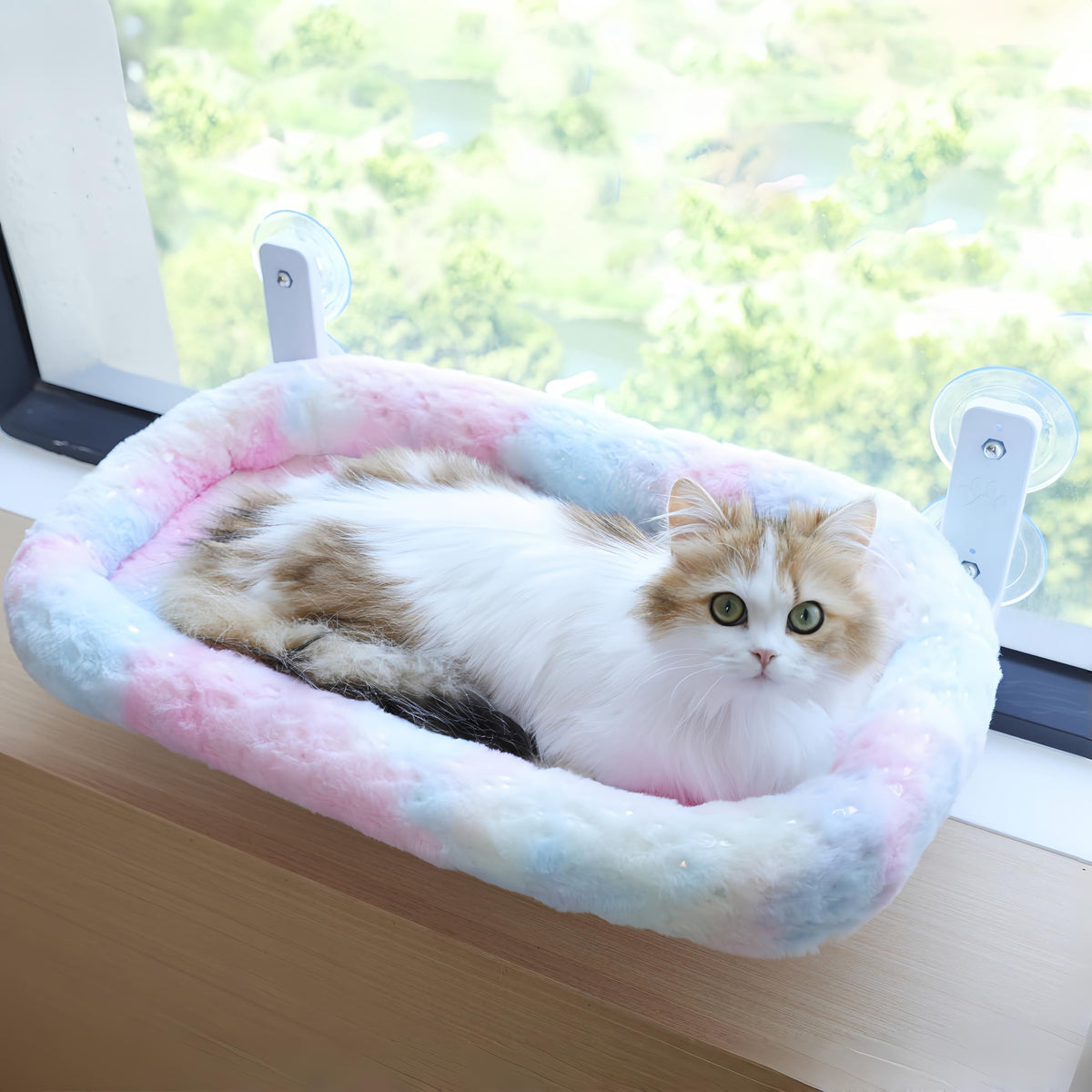 LANERmooos cat window perch front view with strong suction for secure sunbathing