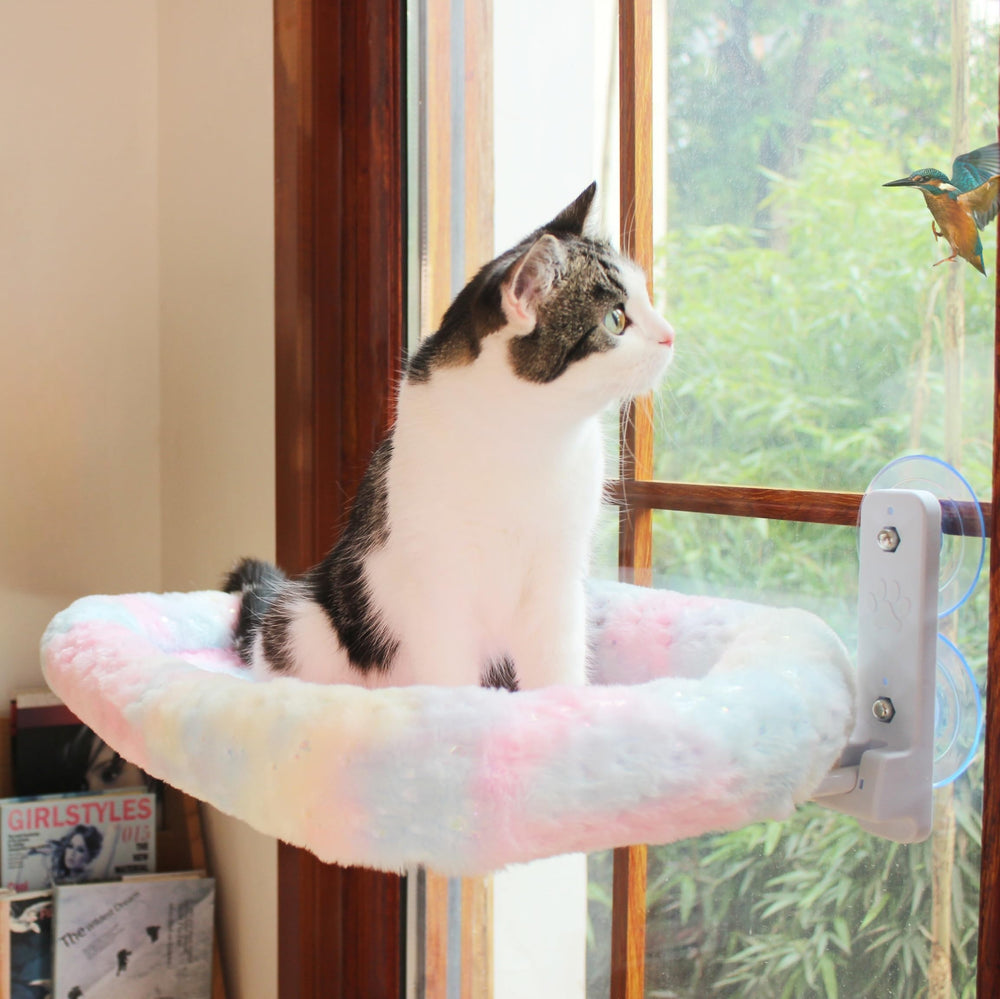 LANERmooos cat window perch movable toy hooks for interactive play