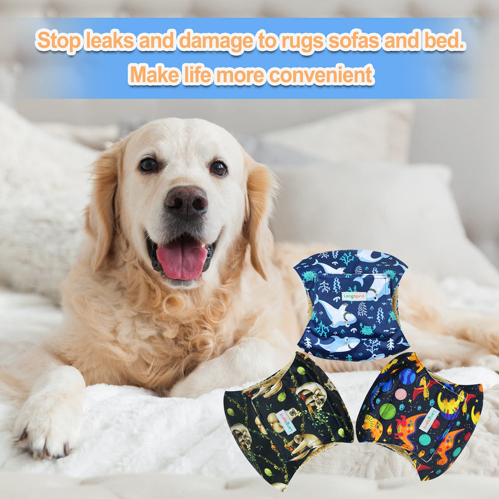 Langsprit dog wearing belly band during training for convenient care.