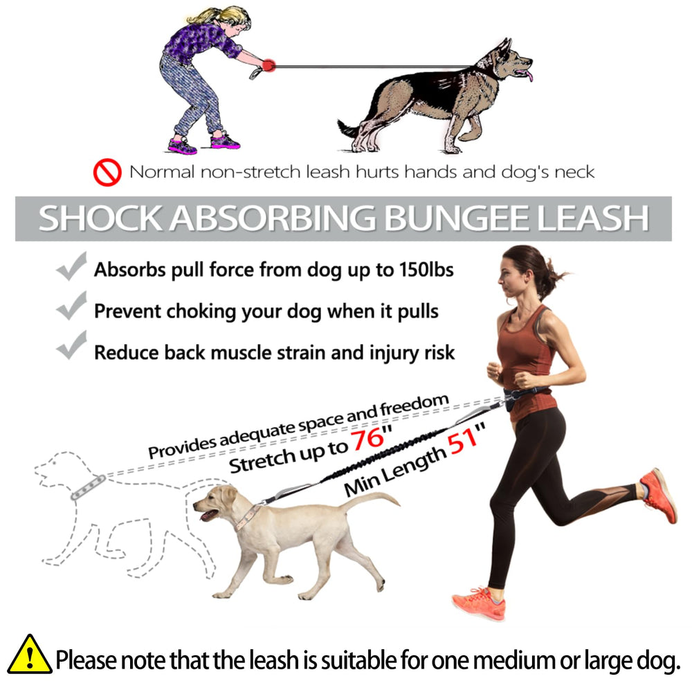 LANNEY shock-absorbing bungee leash reduces jerks during brisk walks
