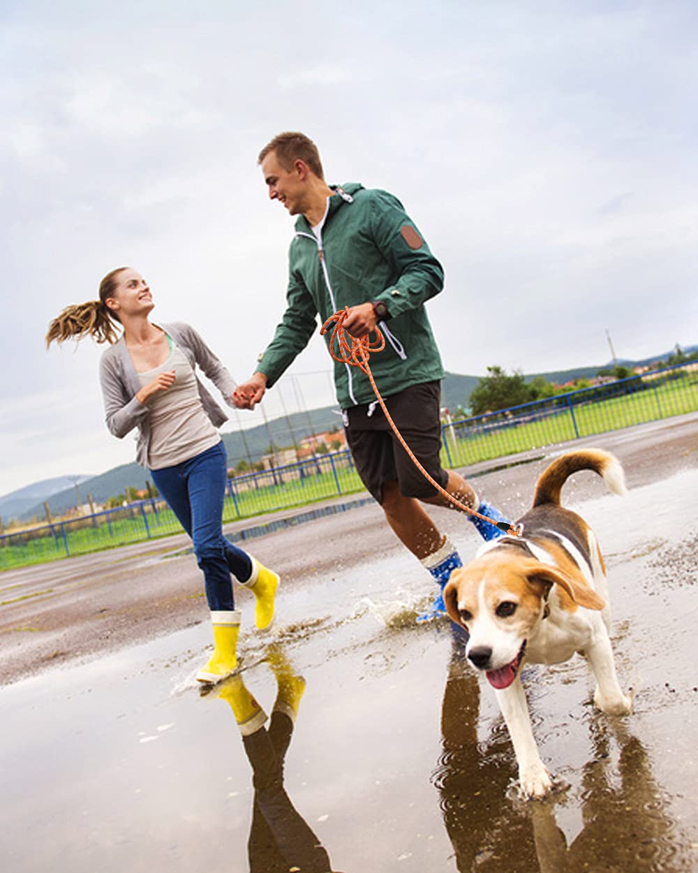 Lanwandeng diámetro ajustable para tamaños de perros pequeños a grandes.