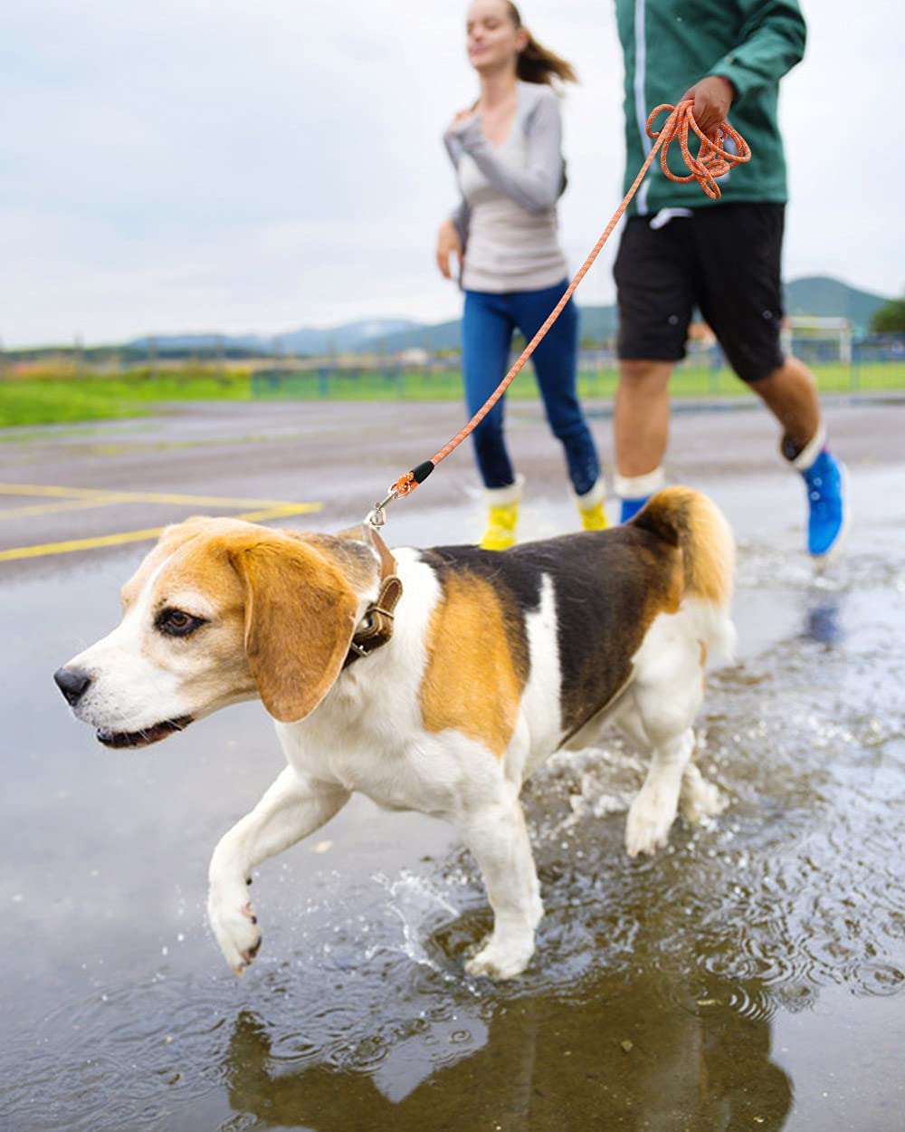 Lanwandeng compatibilidad multiformato para perros de distintos tamaños durante paseos.