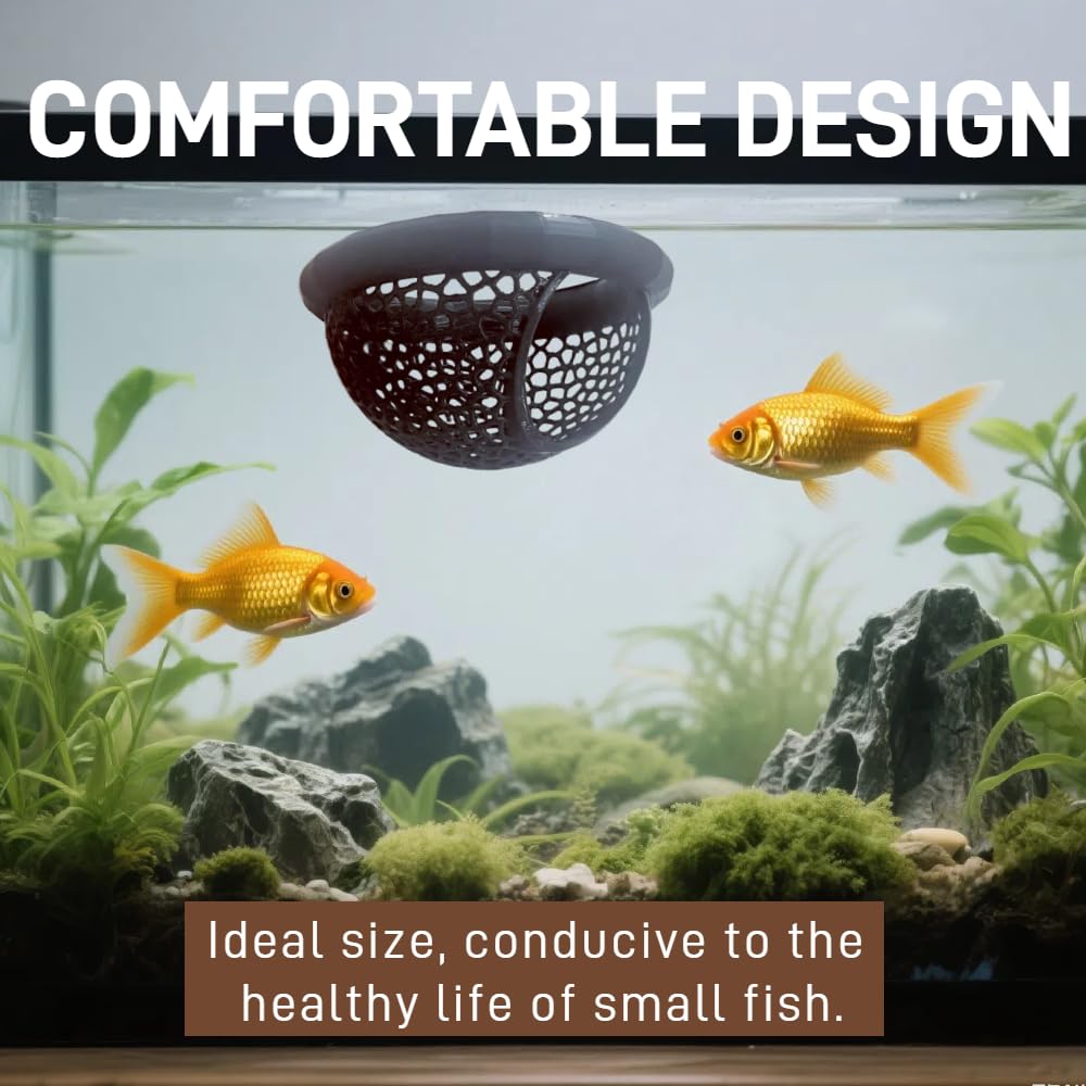 Laoha natural-floating-retreat image depicts resting near surface and bubble nesting opportunities.