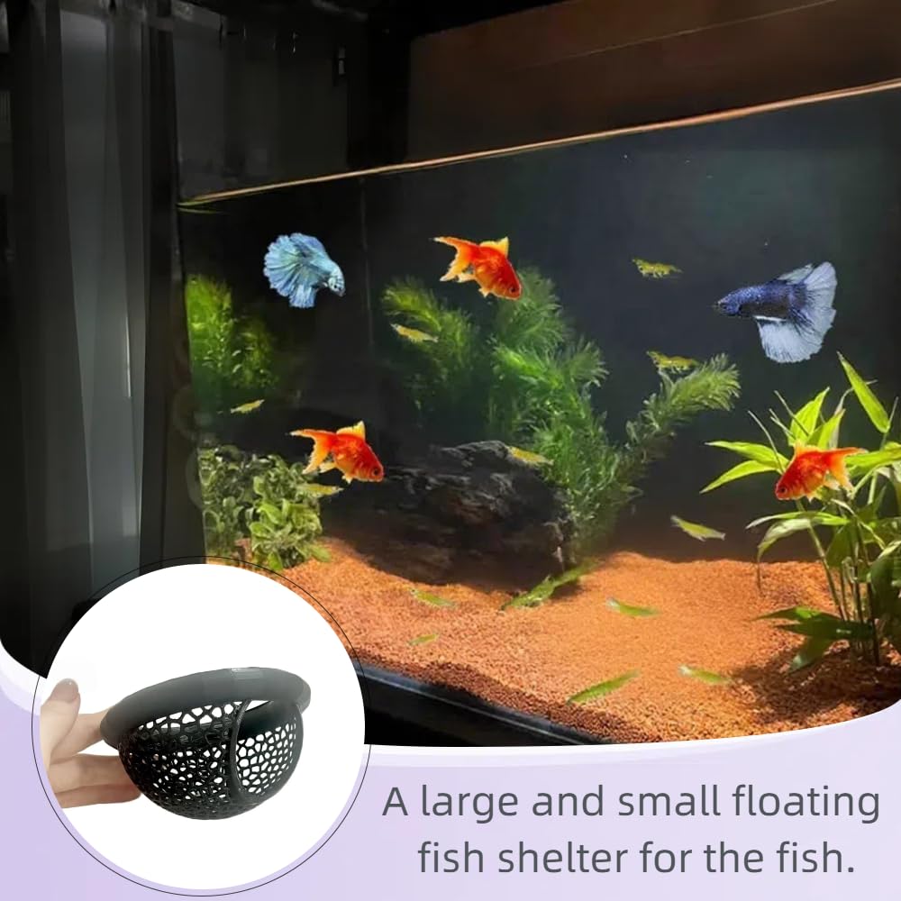 Laoha small-aquarium-enrichment setup illustrates multi-function design for Bettas and small fish.