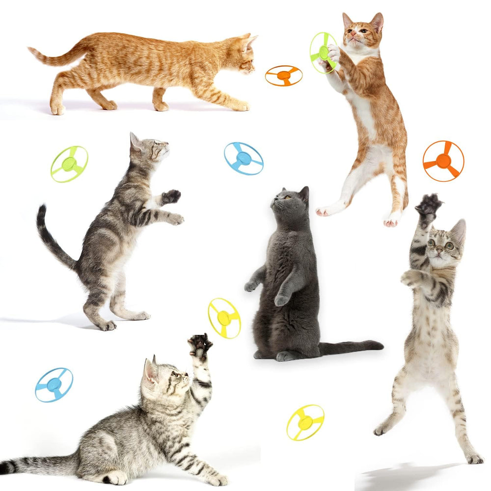LAPOHI cat fetch toy packaging contents display all 14 pieces for versatile play setups.