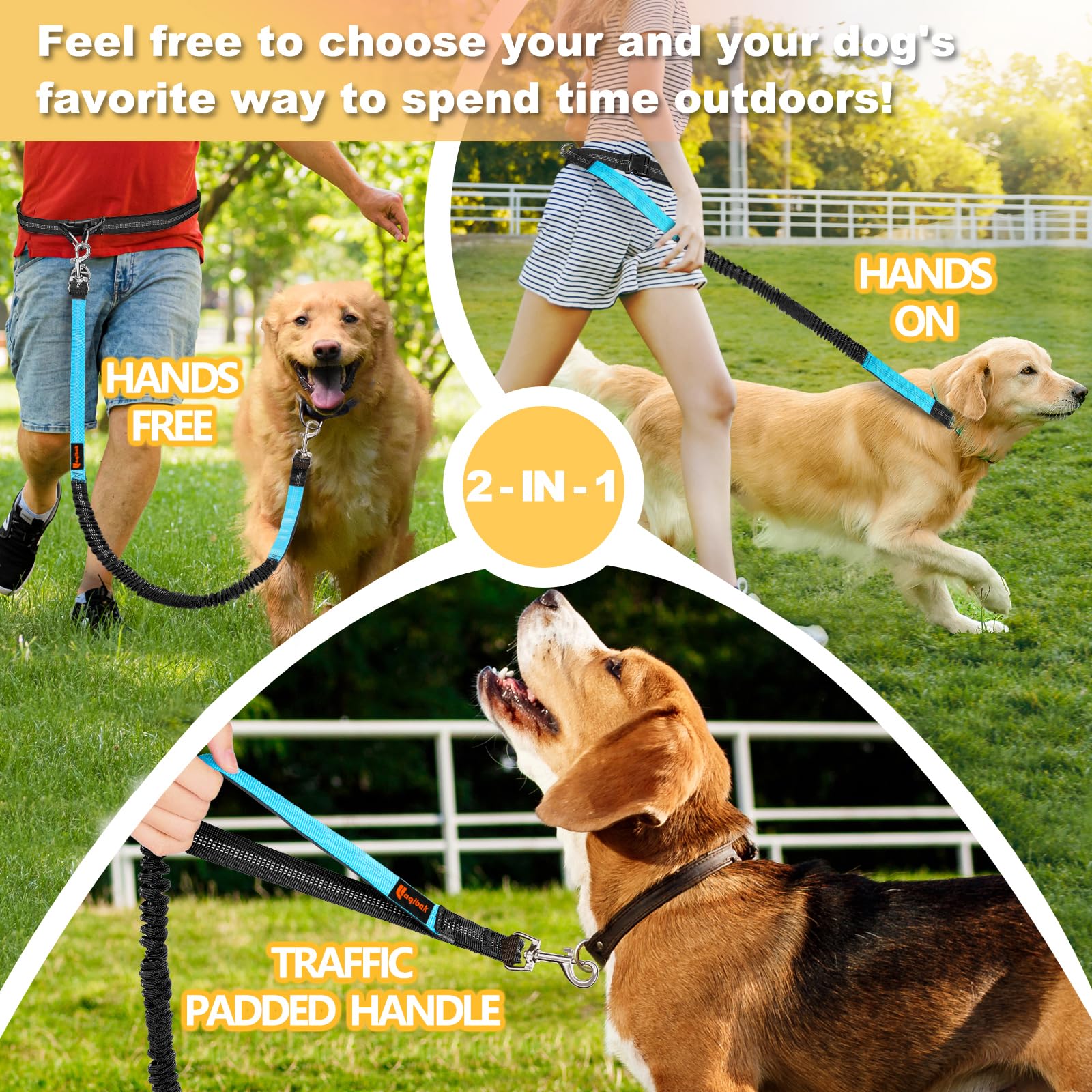 Laqibak black and blue leash design suits everyday walking routines.
