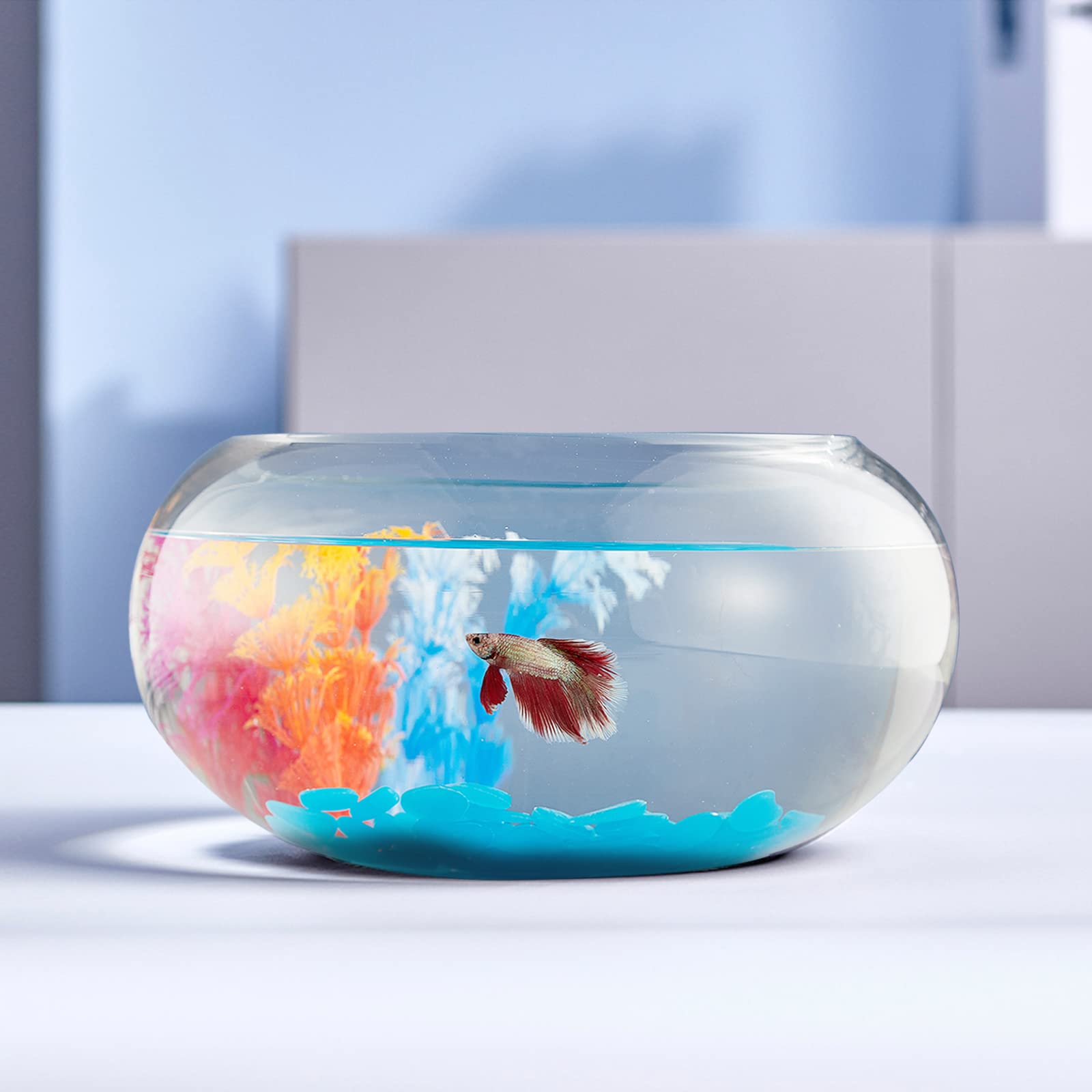 LAQUAL 2-gallon glass fish bowl with decor provides crystal-clear viewing for home aquariums.