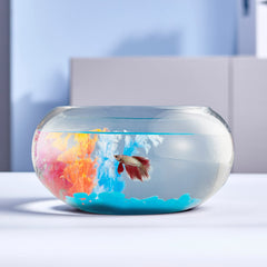 LAQUAL 2-gallon glass fish bowl with decor provides crystal-clear viewing for home aquariums.