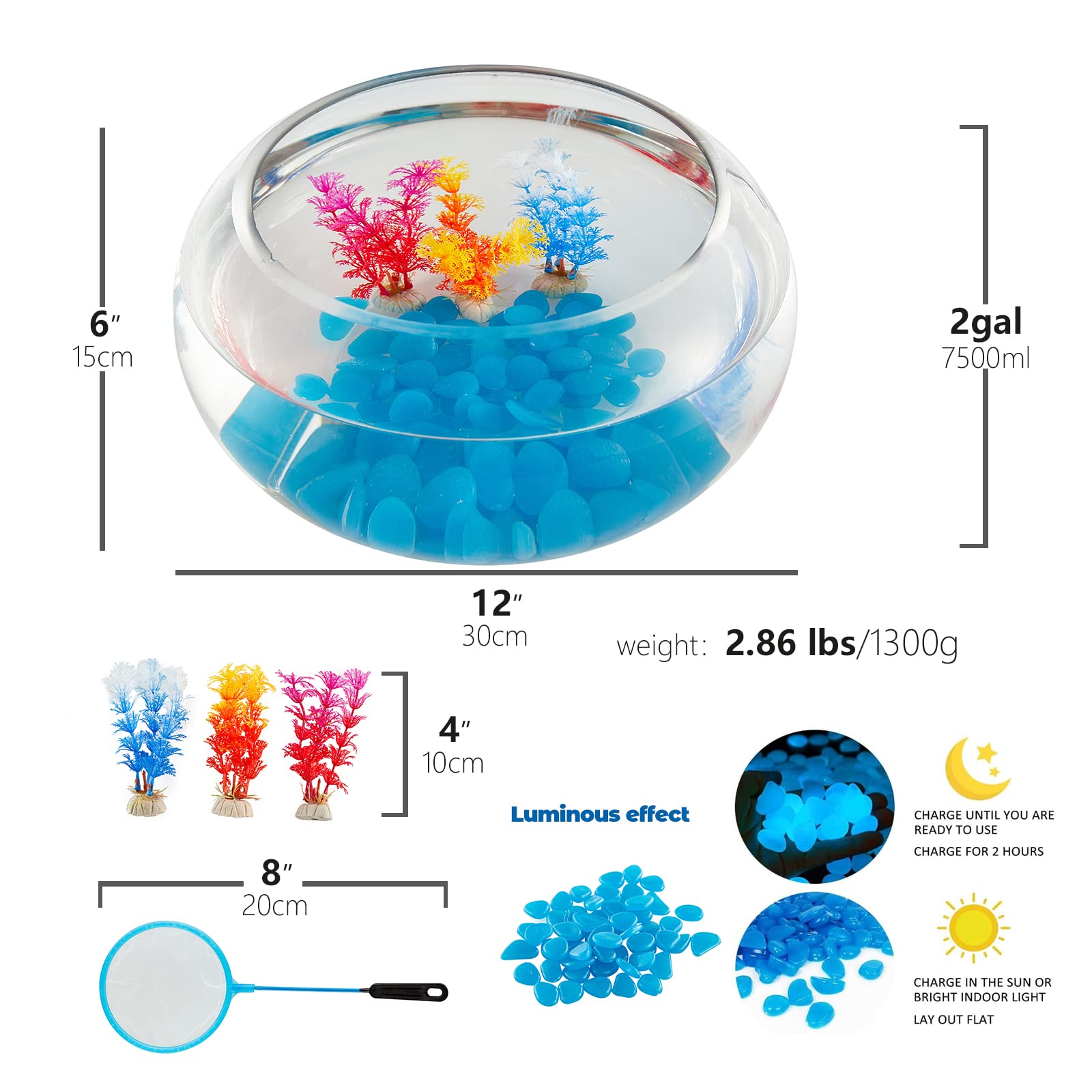 LAQUAL all-in-one fish bowl pack with accessories for easy setup.
