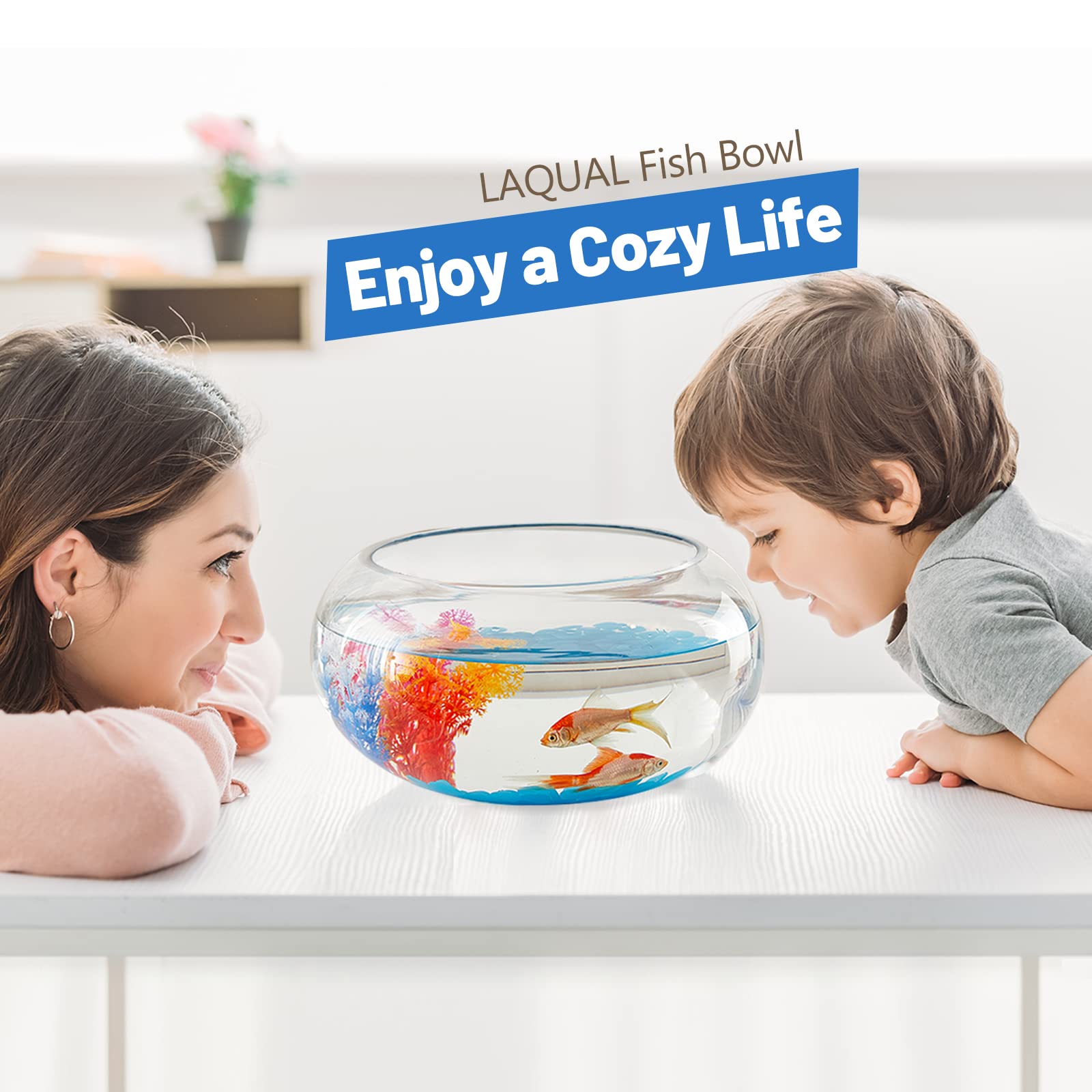 LAQUAL fluorescent stones boost color and ambiance inside the fish bowl.