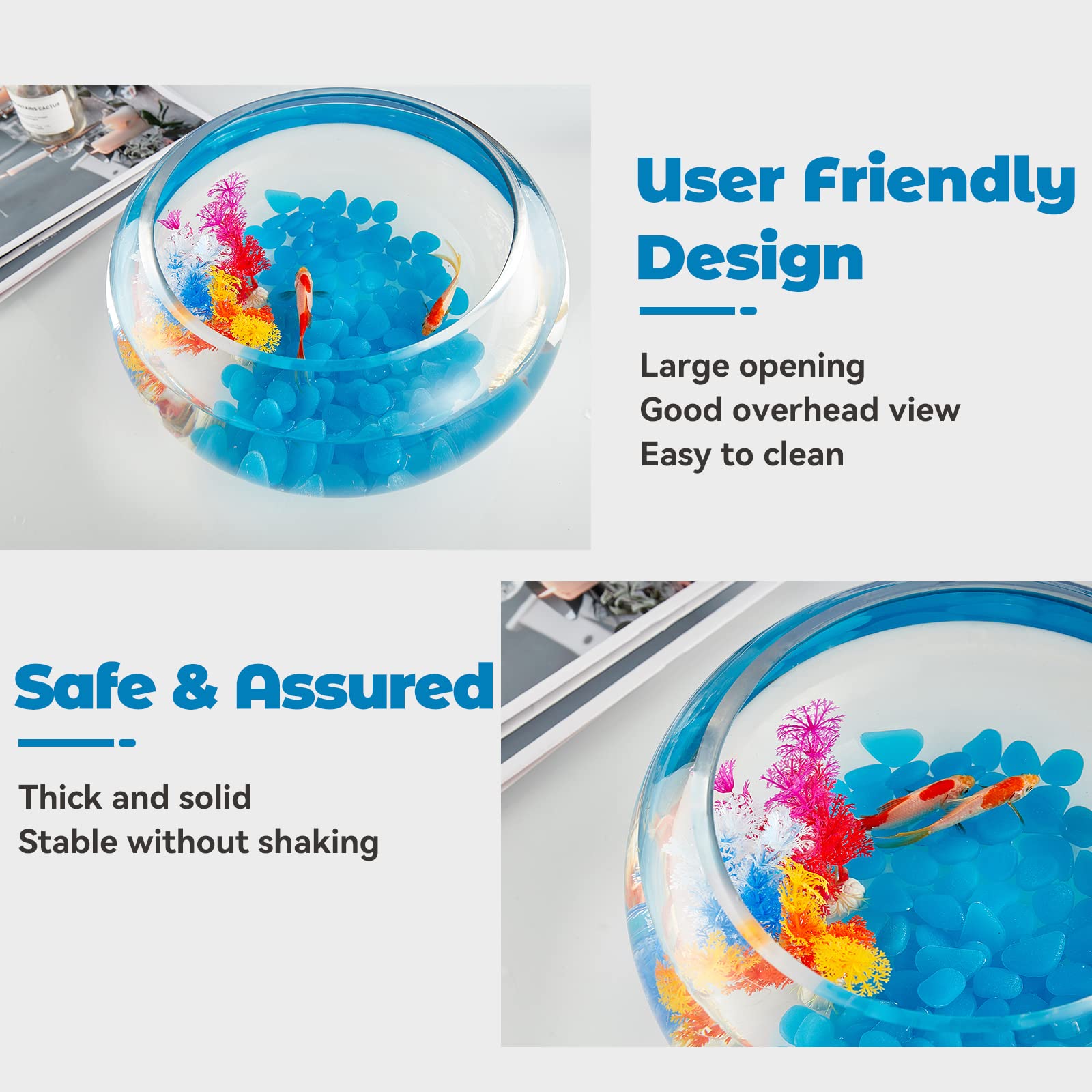 LAQUAL high white glass delivers a crisp, unobstructed view of aquatic life.