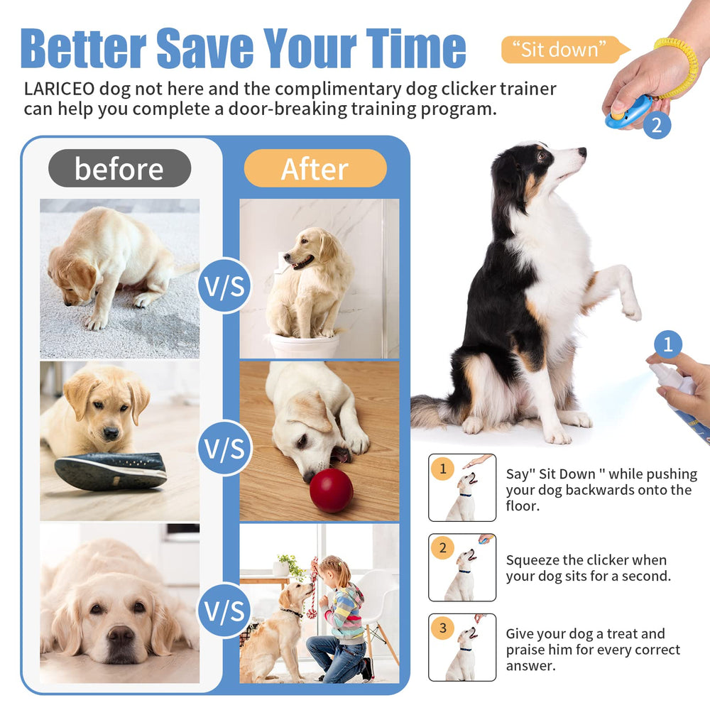 LARICEO housebreaking solution image highlighting training benefits