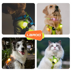 LaRoo dog collar light pink on collar demonstrates secure fit and nighttime safety.