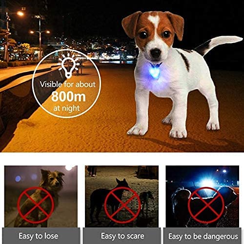LaRoo festive light-up occasions add fun to pets' celebrations with bright blue glow.