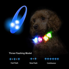 LaRoo night-walk setup demonstrates bright LEDs for clear evening visibility.