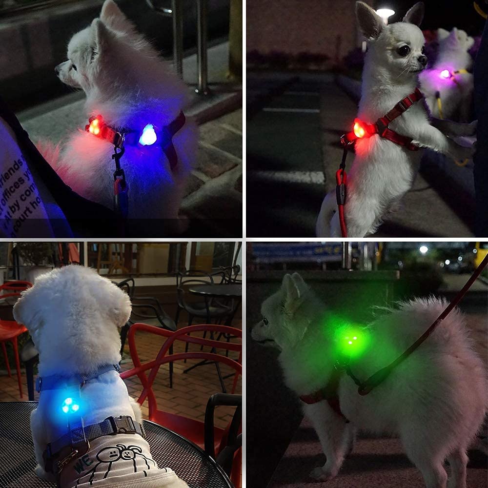 LaRoo safe night strolls with added visibility for you and your dog.