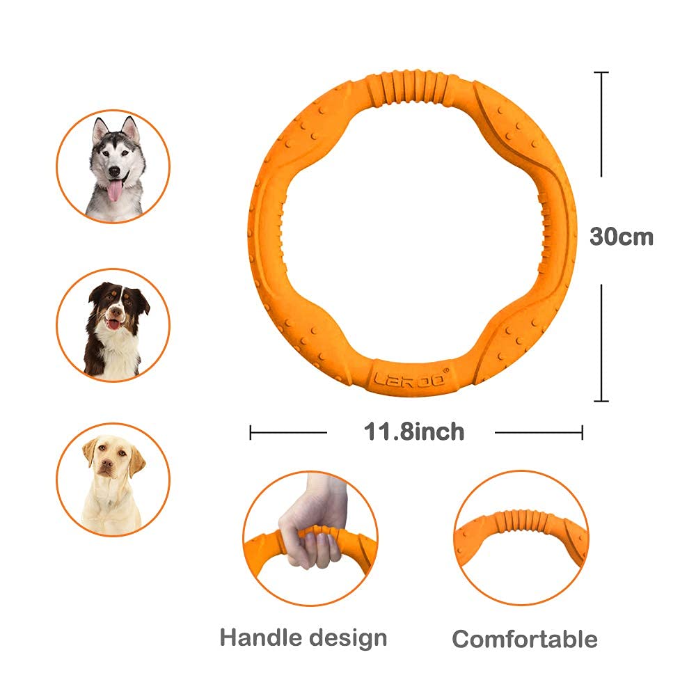 LaRoo-dog-toy-interactive-fetch-game demonstrates versatile outdoor fetch and retrieval.