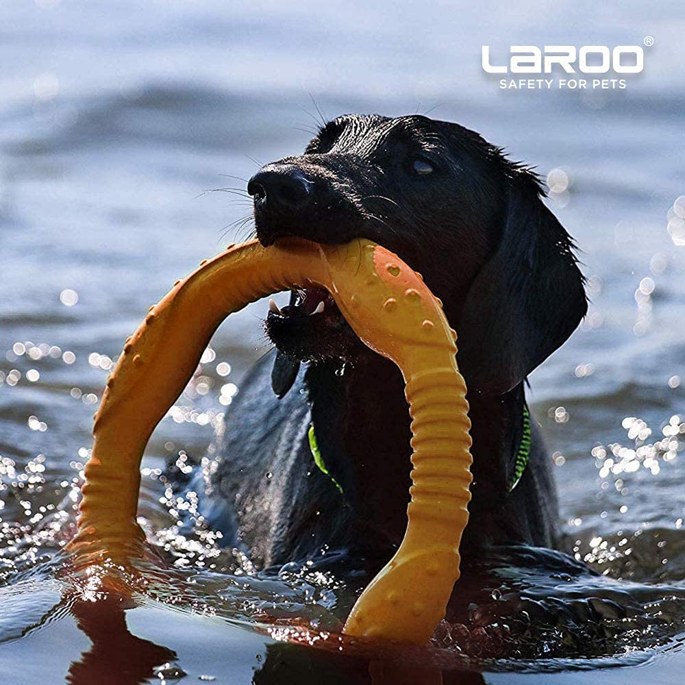 LaRoo orange dog toy by pool promotes water play and retrieval