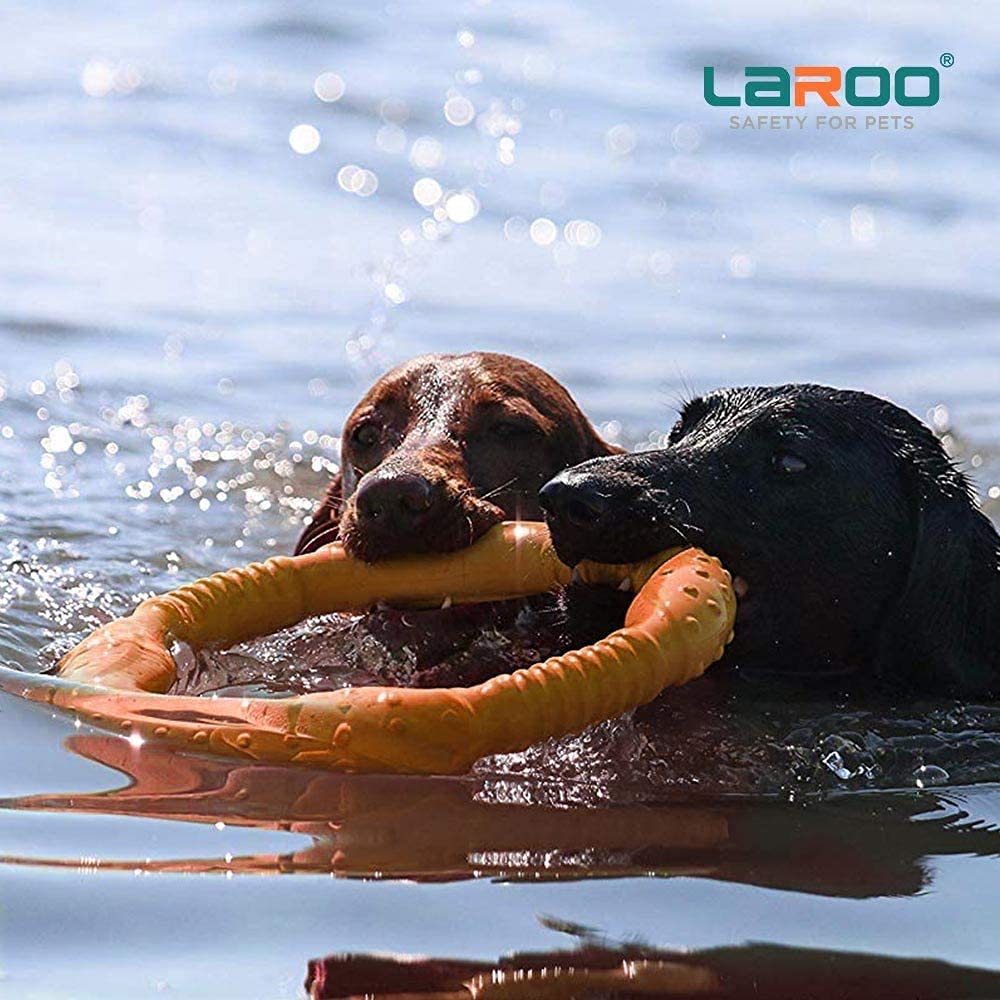 LaRoo-ring-tug-toy shown in action for interactive tug-of-war play.