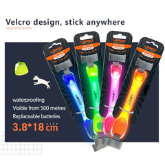LaRoo LED collar with replaceable battery supports long-lasting nighttime visibility.