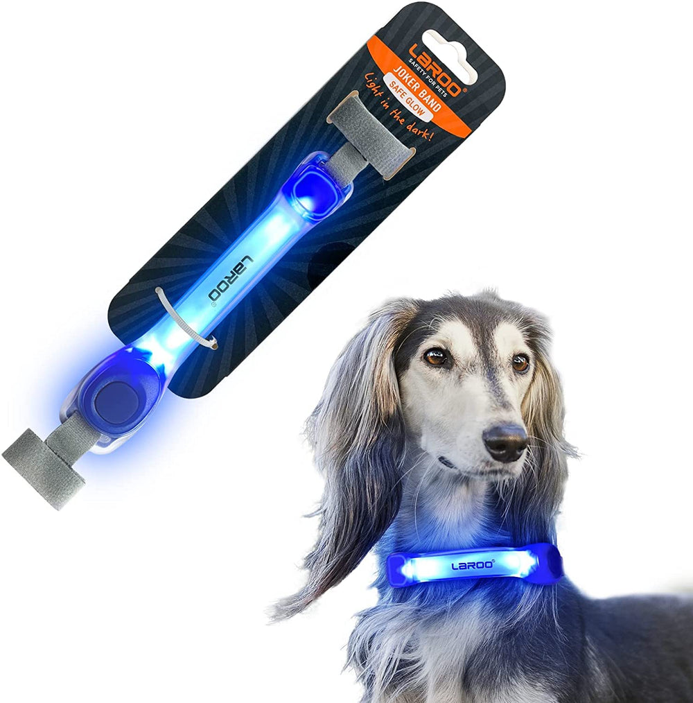LaRoo light up dog collar shows night visibility for safer evening walks.