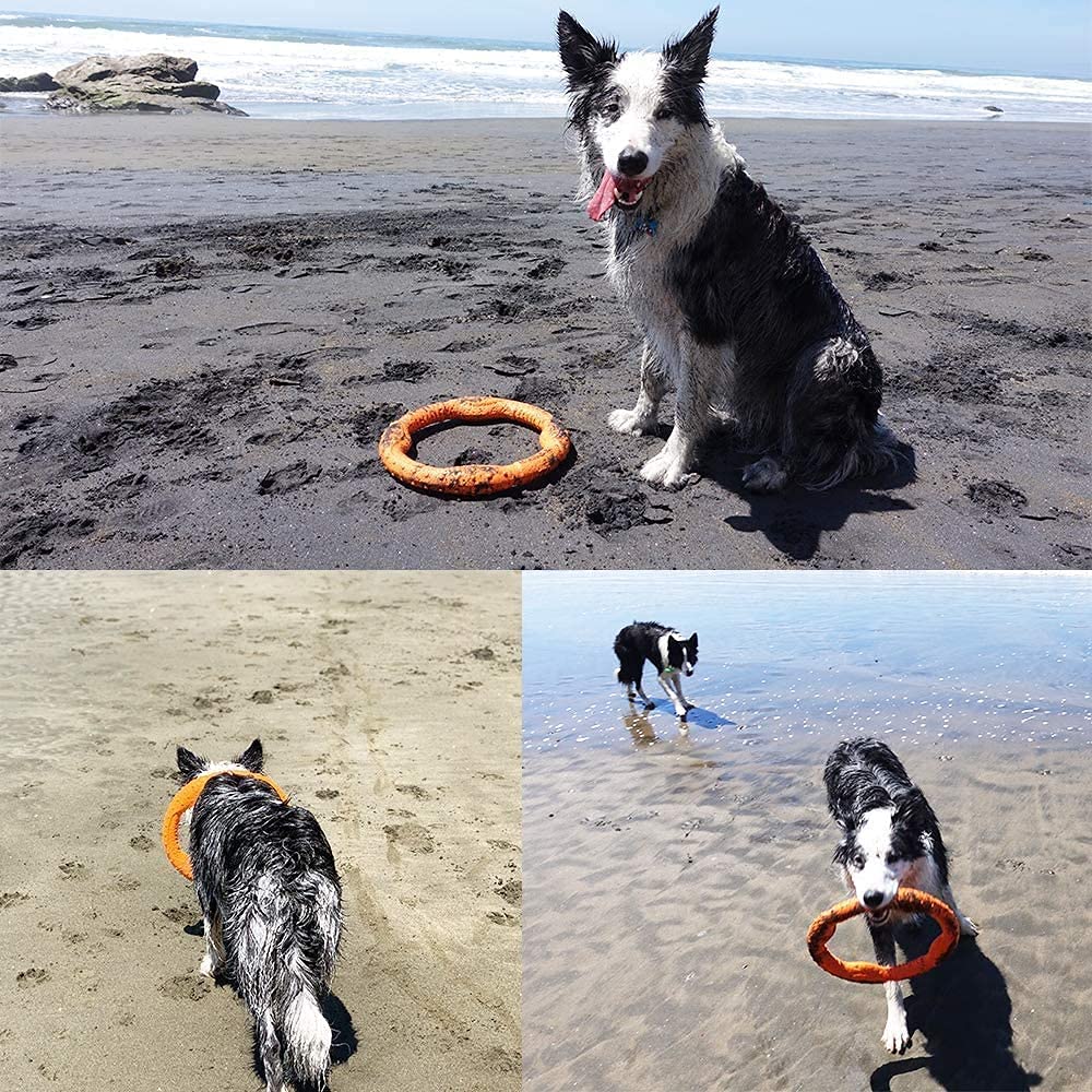 LaRoo orange frisbee supports training and fetch games