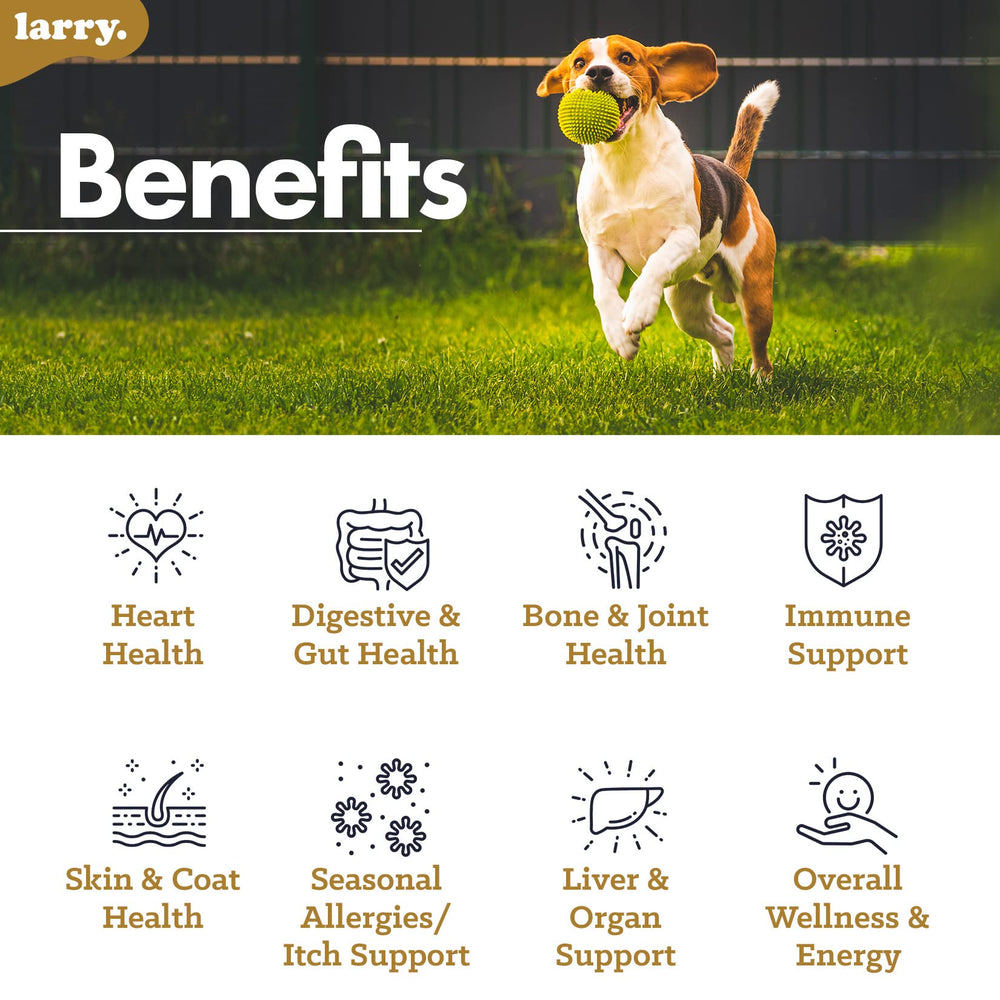 Larry skin-coat-omega dog supplement showcases shiny coat and moisturized skin benefits.