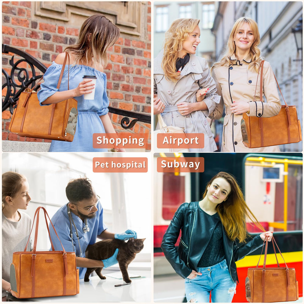 Lasaviin top-opening interaction design allows easy pet engagement